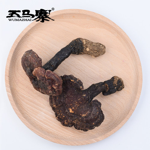 五马寨 广东特产 粤北韶关 灵芝 深山野生赤灵芝伞大整枝 500g - 图3