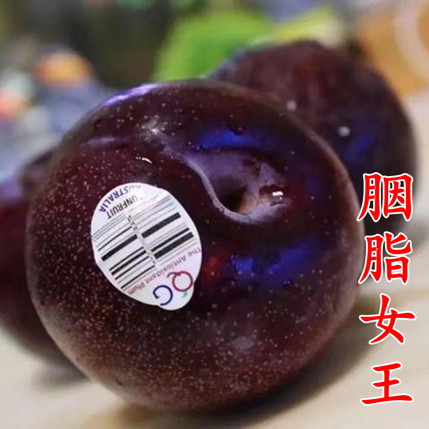 【胭脂女王李苗】澳洲红肉新品种早熟红丁樱桃李韩国樱桃李子树苗,淘宝优惠券,粉丝福利购,淘宝优惠卷