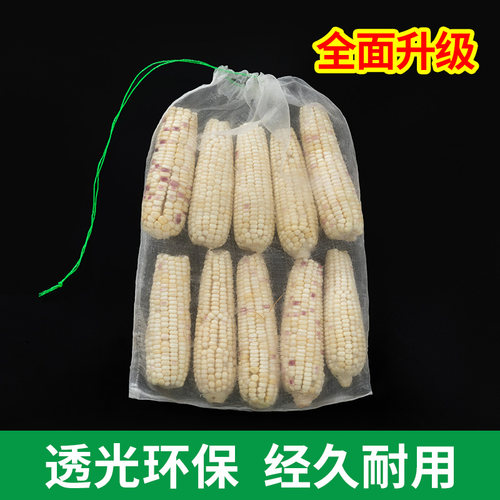 蛇袋子加密加厚网袋40目100目200目透明葡萄防鸟防虫尼龙过滤网袋 - 图1