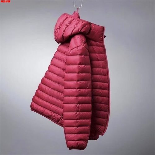 品牌处理秋冬轻薄羽绒棉服男短款立领连帽中老年轻便薄款断码外套 - 图2