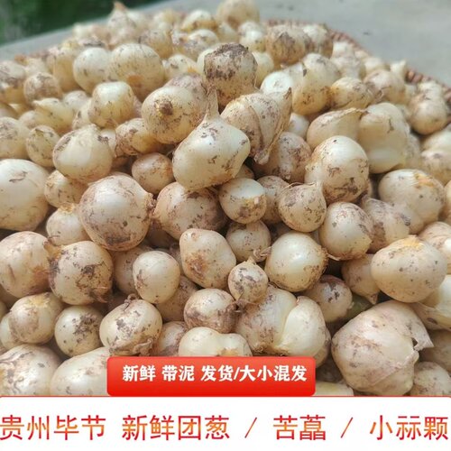 新鲜苦藠四川特产团葱小根蒜苦叫野葱头洋蒜苦蒜小蒜圆蒜团蒜薤白 - 图3