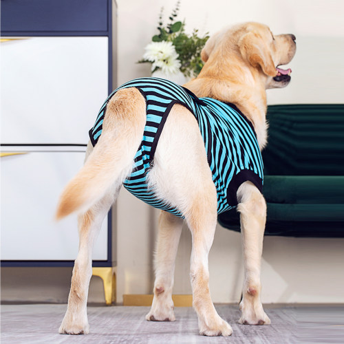 宠物狗生理裤中大型犬母狗月经裤大狗连体包屁股防骚扰胖狗安全裤 - 图0