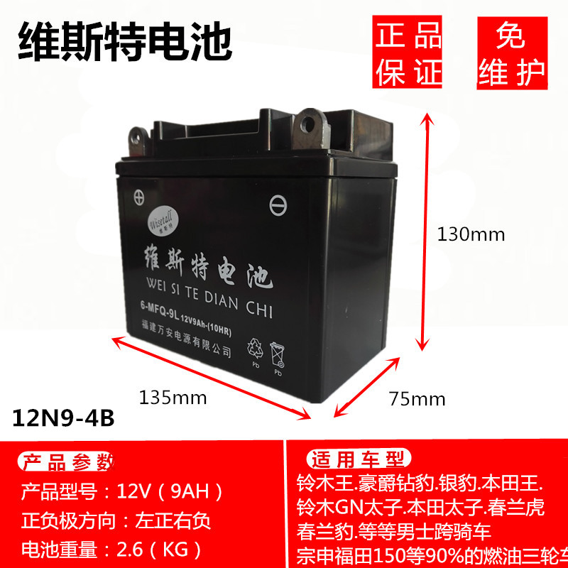 维斯特摩托车电瓶免维护12v9a踏板车125助力弯梁110三轮车蓄电池 - 图2