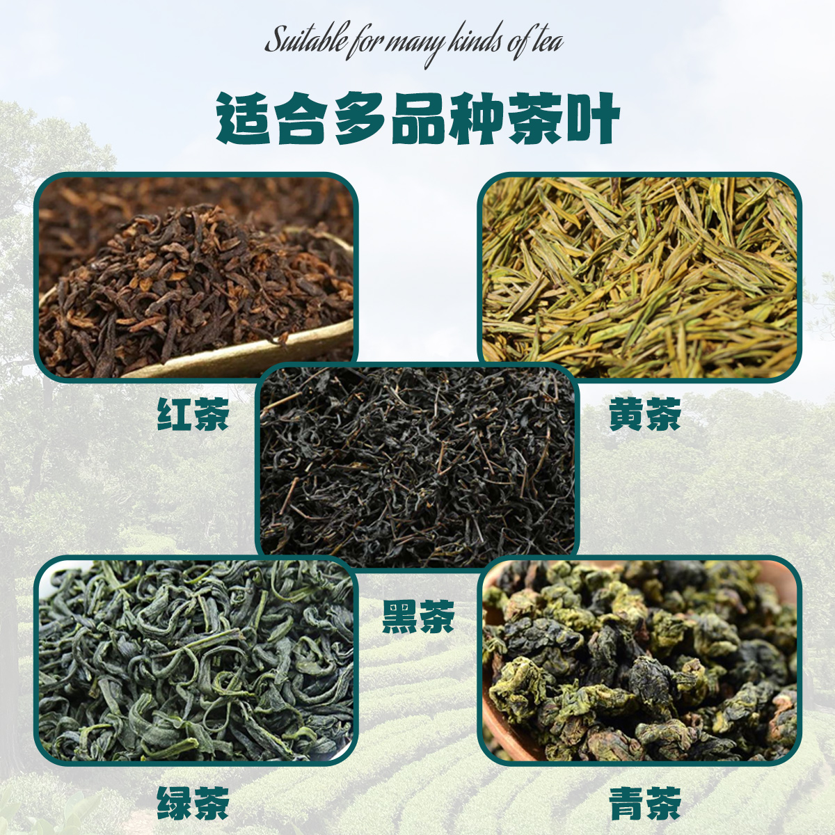 茶叶杀青机滚筒式茶叶杀青炒干机炒茶机炒青朝天锅全自动制茶设备 - 图2