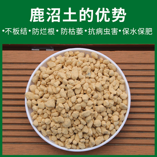 进口鹿沼土颗粒整包大包装多肉植物铺面配土兰花杜鹃酸性盆景专用 - 图0