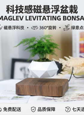 磁悬浮创意盆栽桌面绿植摆件礼物