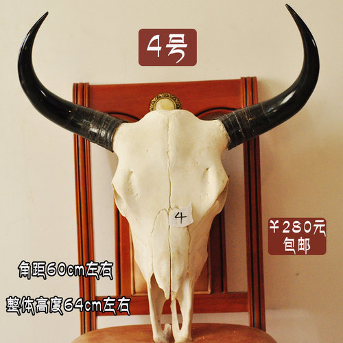牦牛头骨标本菜宴真牛头天然大牛头 客厅装饰品室内藏区牛头摆件 - 图2