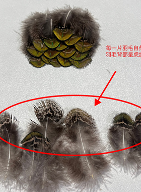 孔雀羽毛虎纹金片羽毛diy手工材料配件服装辅料装饰品