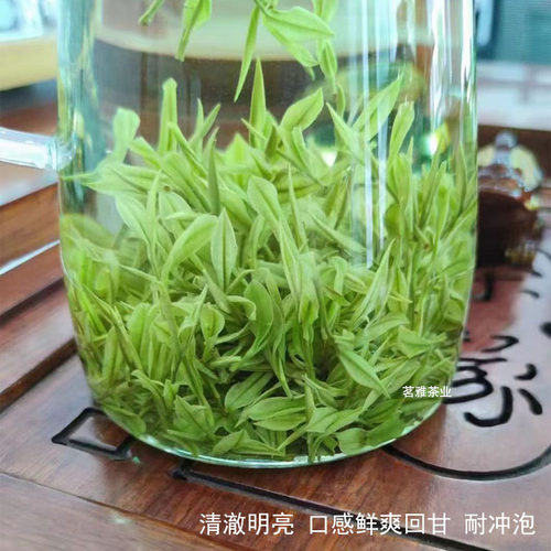 安吉白茶 2026年新茶叶 茗雅明前特级250g 春茶 高山珍稀绿茶散装 - 图0