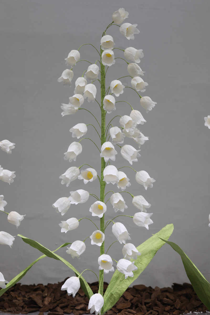 絲鈴蘭花 新人首單立減十元 22年10月 淘寶海外