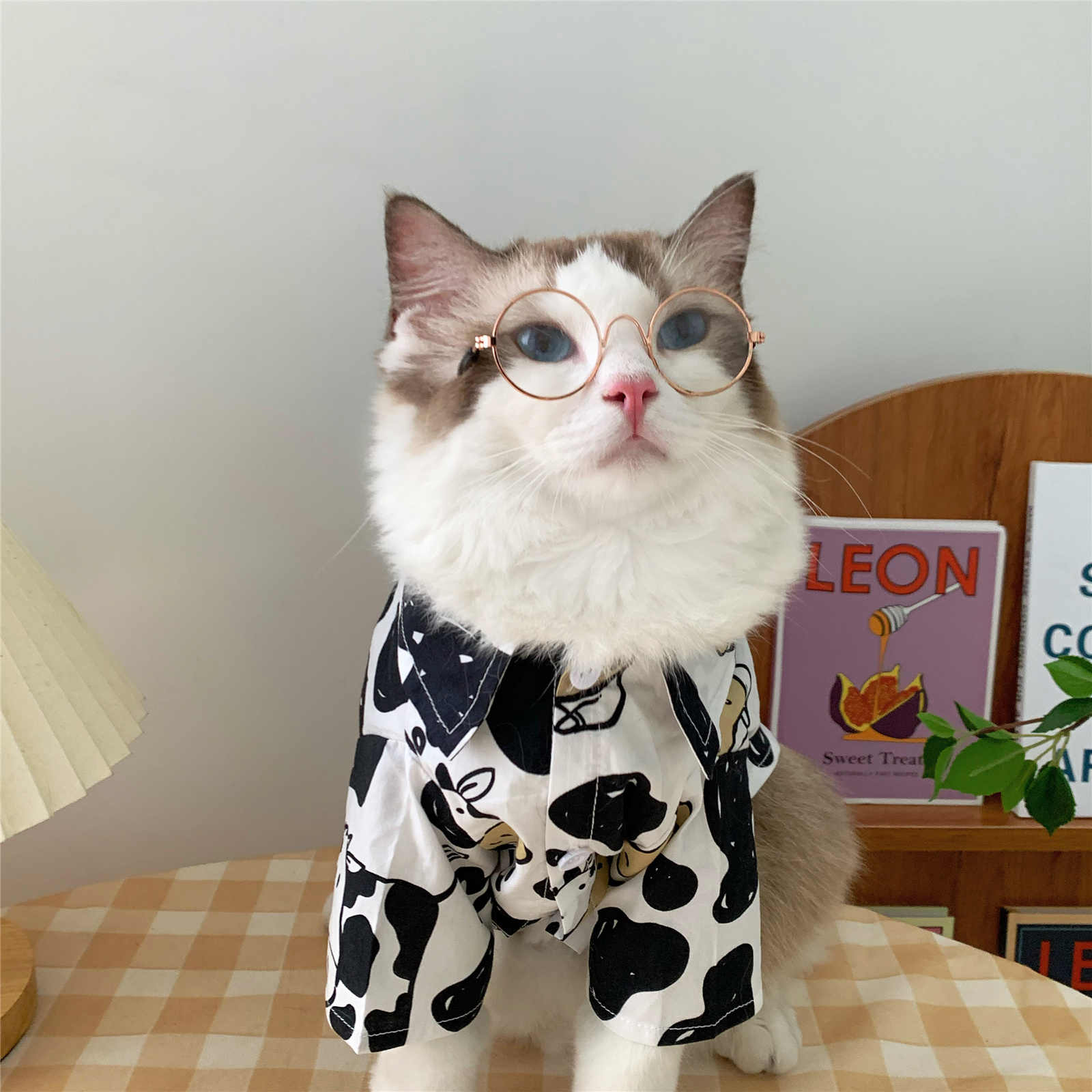 印花猫狗狗 新人首单立减十元 21年9月 淘宝海外