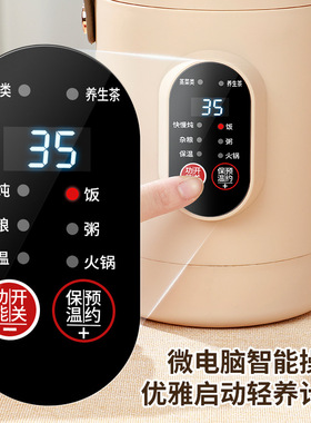 欧规便携式智能小电提锅多功能迷你煮粥米饭煲汤煮面小火锅电锅