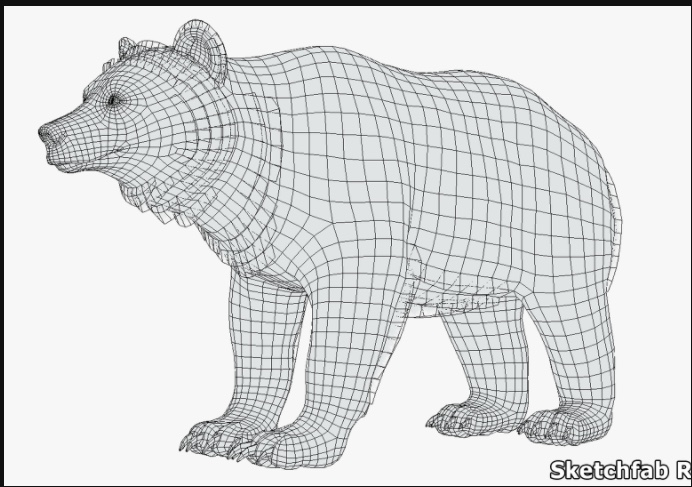 UE5虚幻5 Bear - Female 雌性母狗熊角色模型带动画 - 图1
