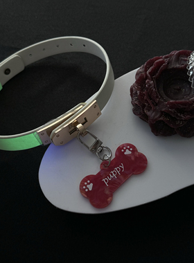 夜光变色分体凯莉扣银色五金项圈牵引