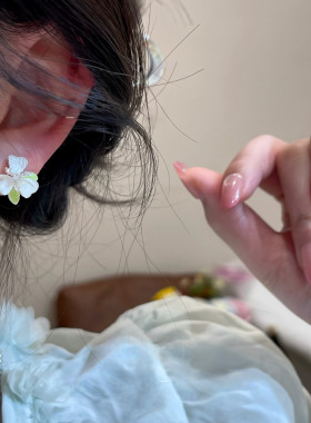 s925银针不过敏锆石花朵耳钉女款