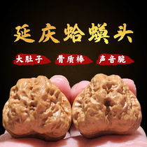 Watertext to play Walnut Hemp Walnut Golden Toad head Yanqing Generation Old Tree Mountain