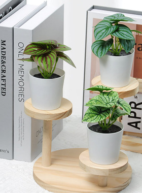 仿真植物家居迷你小盆栽绿植假