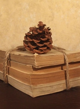 真书有字内页无皮书芯摆件新中式摆件真书沓书芯样品书桌一本价格