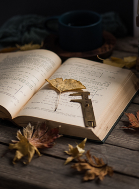 （可选款）复古道具书外文二手旧书古董书家具饰品摆件摄影道具