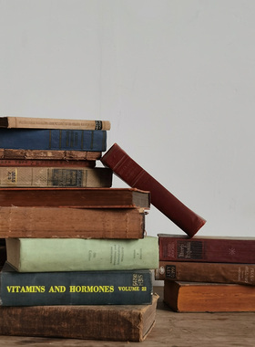 外文书英文旧书原版二手书 16KA4硬皮 复古婚礼拍摄道具书样板房