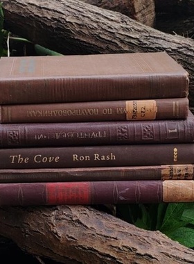 外文老旧拍摄道具书陈列装饰摆件二手英文原版书复古书籍