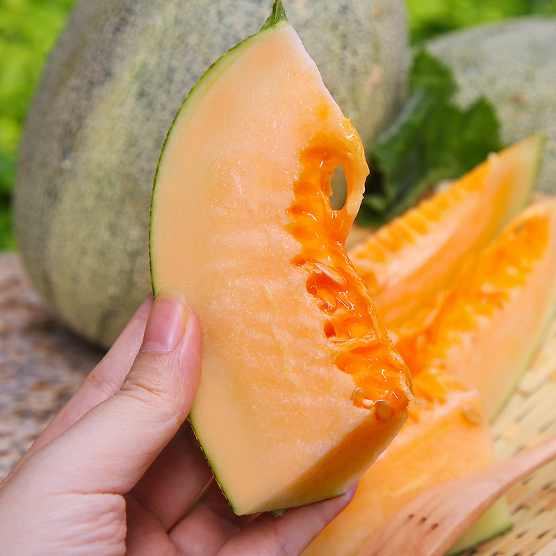 正宗海南哈密瓜海沙地蜜瓜当季新鲜孕妇水果网纹蜜瓜脆甜整箱包邮,淘宝优惠券,粉丝福利购,淘宝优惠卷