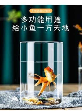 现代简约高硼硅玻璃插花瓶生态瓶