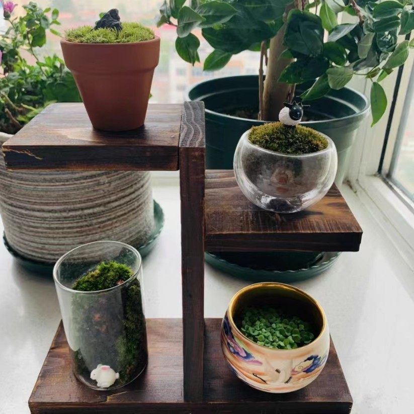 辈辈爱实木碳化防腐小花架办公桌面飘窗迷你型多盆栽花盆植置物架,淘宝优惠券,粉丝福利购,淘宝优惠卷