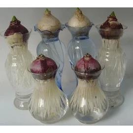 热销葫芦中号型透明玻璃花瓶风信子郁金香种植瓶室内阳台水培花卉