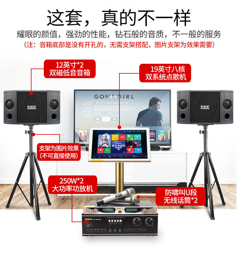  飞达KTV/卡拉OK音箱