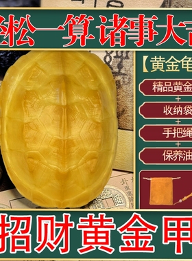 天然真龟甲黄金甲文玩龟壳手把件真乌龟壳车载挂件爻摇卦龟壳干净