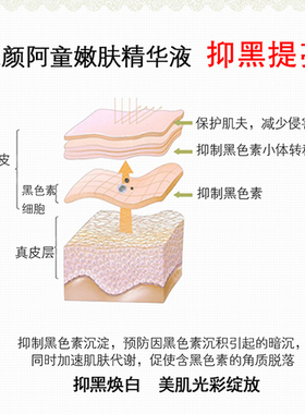 提亮完颜保湿润肤祛黄护肤品