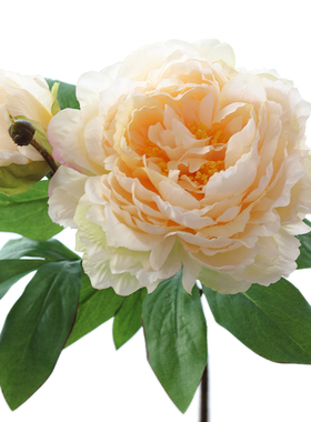 洛阳牡丹仿真花客厅餐厅玄关绢花装饰花塑料花摆件餐桌摆设花艺