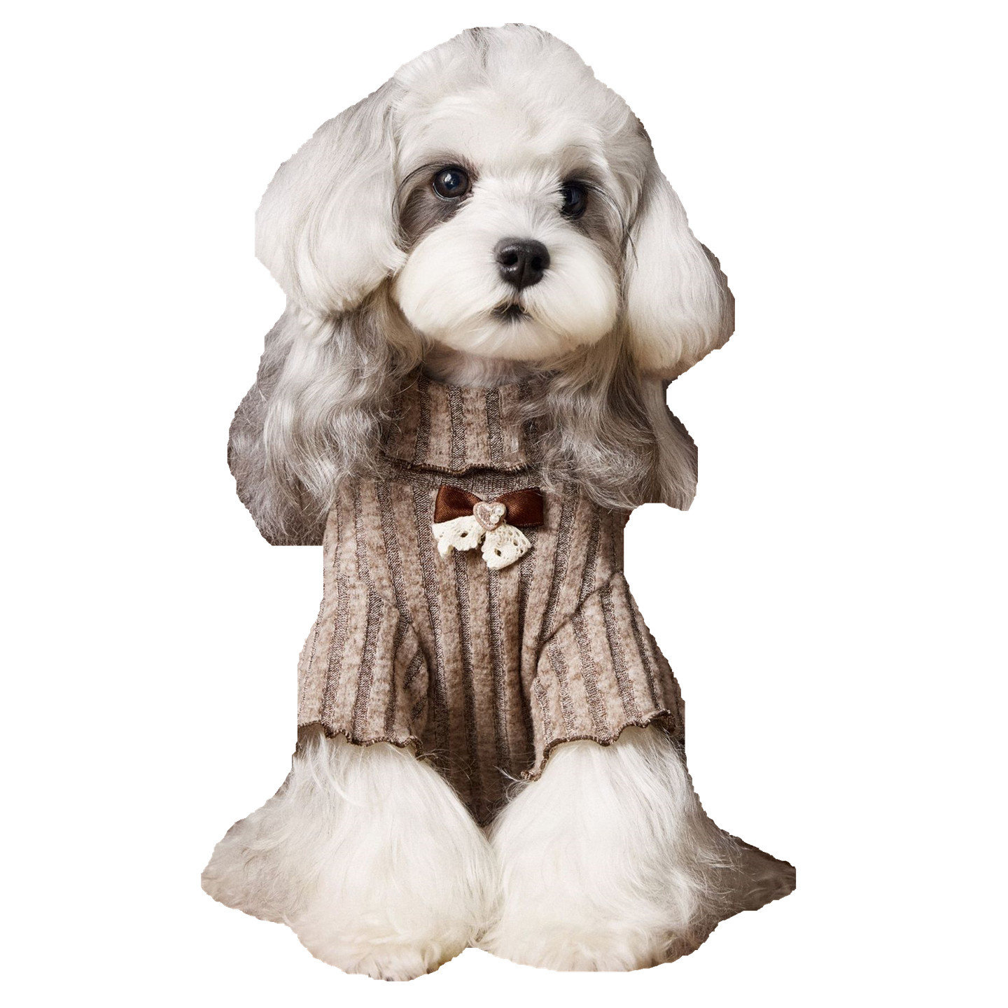 汤尼熊宠物衣服秋冬款内搭狗狗雪纳瑞泰迪比熊博美腊肠高领打底衫,淘宝优惠券,粉丝福利购,淘宝优惠卷