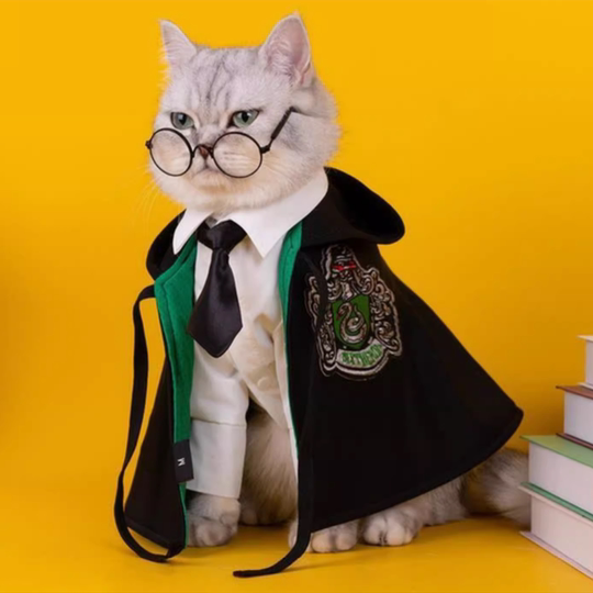 Halloween cosplay Harry Potter pet clothes