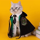 Halloween cosplay Harry Potter pet clothes