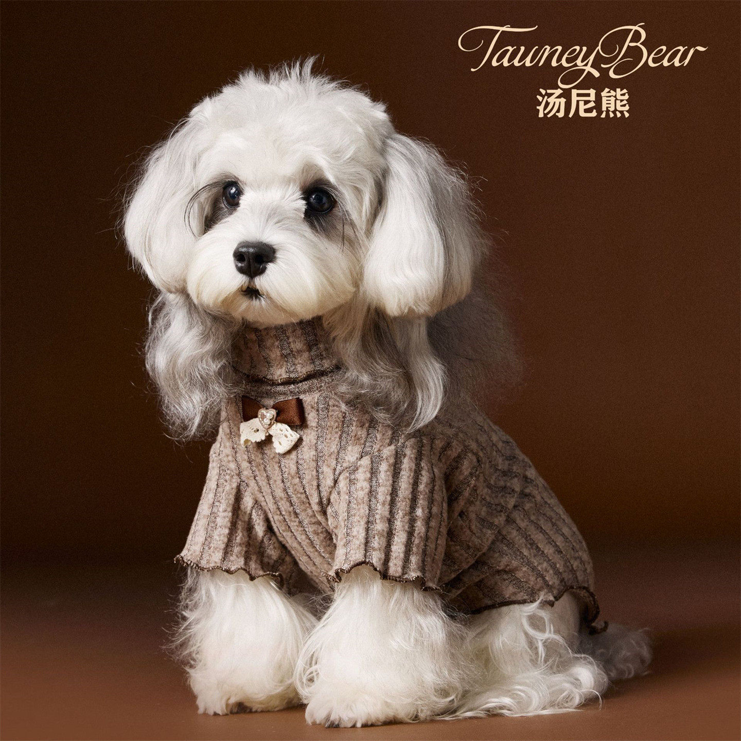 汤尼熊宠物衣服秋冬款内搭狗狗雪纳瑞泰迪比熊博美腊肠高领打底衫,淘宝优惠券,粉丝福利购,淘宝优惠卷