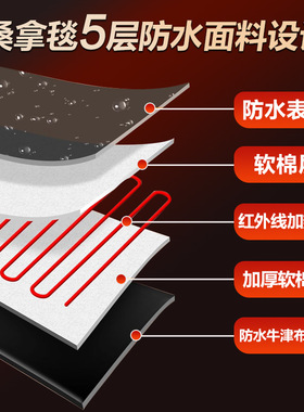外贸跨境黑色桑拿毯远红外线排酸排湿汗蒸毯美容院家用美体养生毯