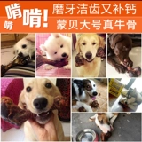 蒙贝 Корова -костяная собака питомец -закуска собака измельчение щенки