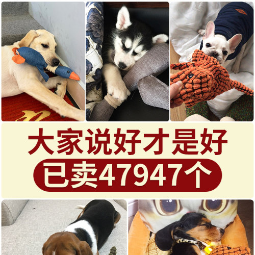 狗狗玩具发声耐咬毛绒磨牙小狗金毛宠物恐龙柴犬逗狗玩偶解闷神器-图1