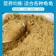 ຜົງອາຫານເຕົ່າ Wangbei 48 ທາດໂປຼຕີນສູງ