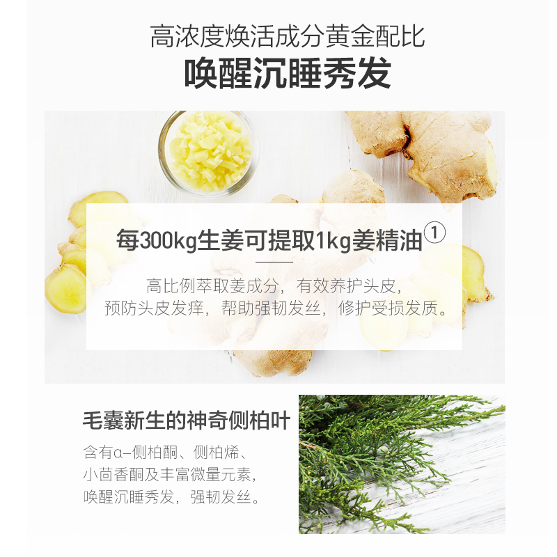 阿芙红动专卖店阿芙生姜头皮洗发水/露 护发乳/素 女控油无硅油干枯毛躁正品2