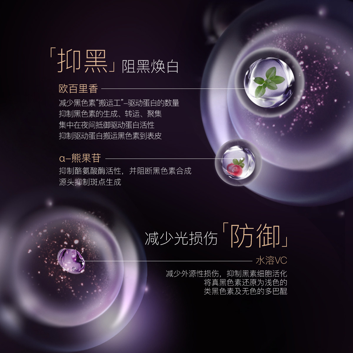  阿芙红动乳液/面霜