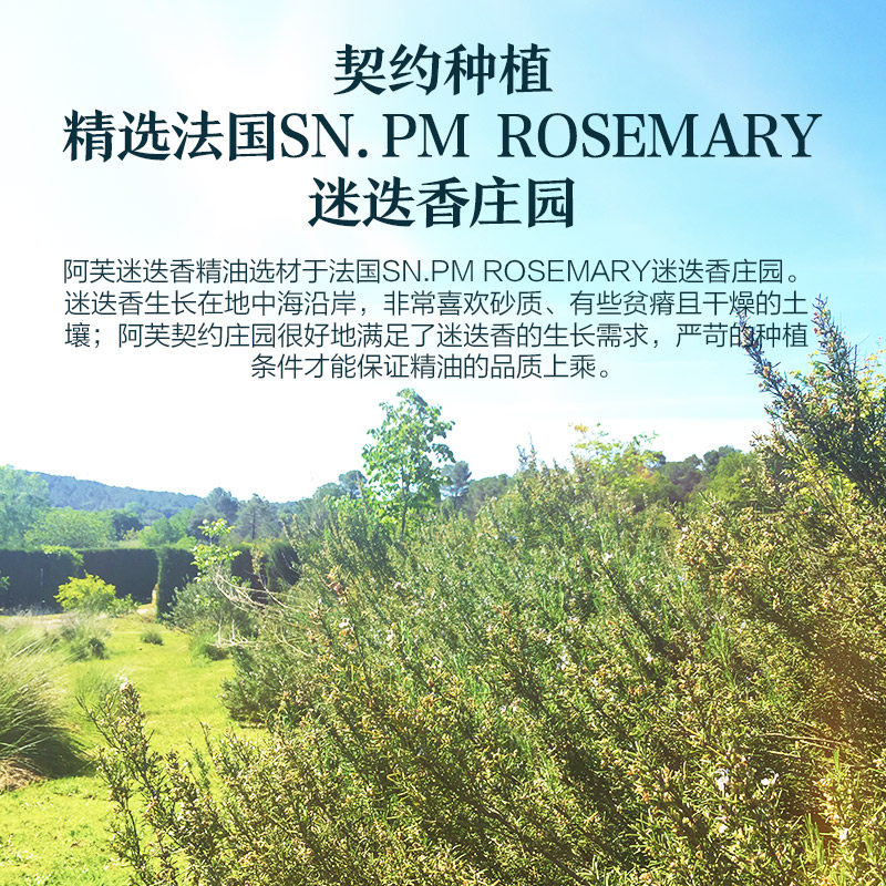 阿芙迷迭香单方10ml紧致紧实香薰 阿芙红动单方精油