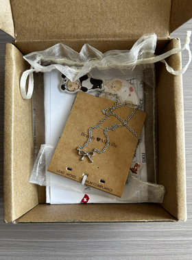 bm项链女蝴蝶结吊坠锁骨链百搭小众设计感配饰靠谱国内代购正品