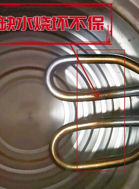 原装发热正品东湖银典琴音电水壶
