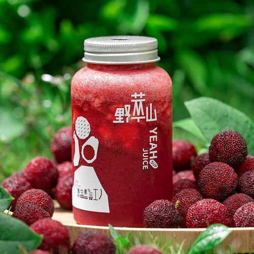 一次性网红创意铝盖瓶子素匠泰茶杯带盖胖胖瓶奶茶外卖果汁打包瓶 - 图0