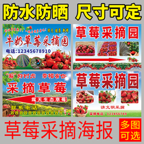 Strawberry Picking Advertising Cloth Selling Strawberry Propaganda Spray Painting Poster Strawberry Garden Advertising Sticker Sign Print Custom