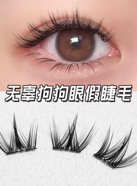 假睫毛免胶免卸自然仿真浓密款漫画狗狗圆眼犬系懒人睫毛书初学者