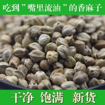 Gansus special produce Tianshui Asako 500g grams of fiery numb new goods people eat with big grain hemp seeds